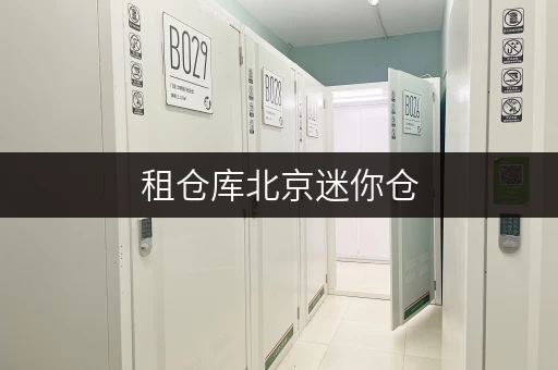 租仓库北京迷你仓,随存随取,让生活更便捷 租仓库北京迷你仓,随存随取,让生活更便捷