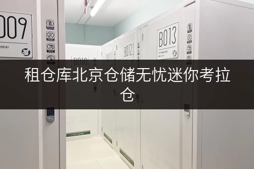 租仓库北京仓储无忧迷你考拉仓,安全温湿监控,让您的物品“安家”更放心 租仓库北京仓储无忧迷你考拉仓,安全温湿监控,让您的物品“安家”更放心