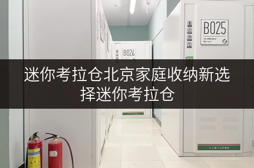 迷你考拉仓北京家庭收纳新选择迷你考拉仓,让空间灵动自如——面积选择与实用案例分享 迷你考拉仓北京家庭收纳新选择迷你考拉仓,让空间灵动自如——面积选择与实用案例分享