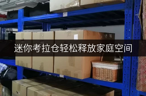 迷你考拉仓轻松释放家庭空间，迷你考拉仓助力品质生活新篇章