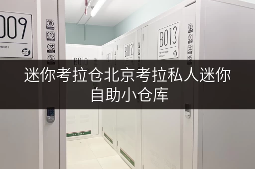 迷你考拉仓北京考拉私人迷你自助小仓库,随存随取,轻松整理生活空间 迷你考拉仓北京考拉私人迷你自助小仓库,随存随取,轻松整理生活空间