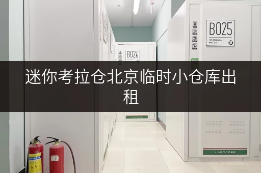 迷你考拉仓北京临时小仓库出租,存取无忧,全时段服务守护您的物品 迷你考拉仓北京临时小仓库出租,存取无忧,全时段服务守护您的物品