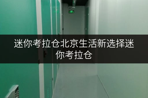 迷你考拉仓北京生活新选择迷你考拉仓,让物品存放更便捷,全天候服务守护您的每一件宝贝 迷你考拉仓北京生活新选择迷你考拉仓,让物品存放更便捷,全天候服务守护您的每一件宝贝