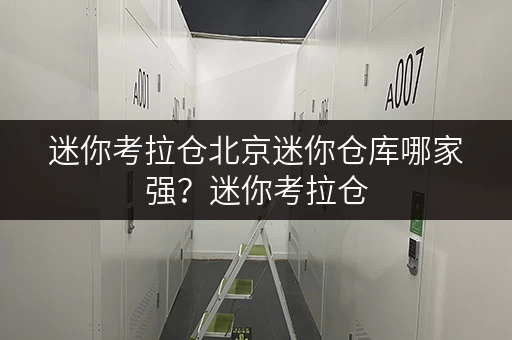 迷你考拉仓北京迷你仓库哪家强？迷你考拉仓，办公空间释放好帮手！