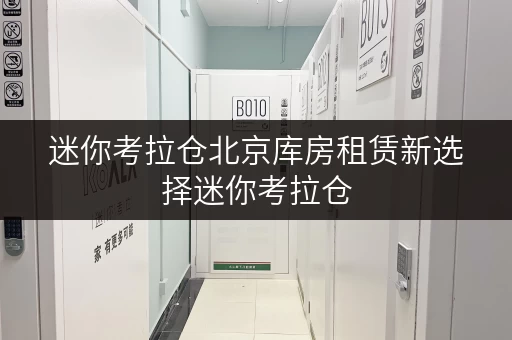 迷你考拉仓北京库房租赁新选择迷你考拉仓，便捷存取，尽享全时段服务
