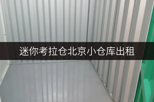 迷你考拉仓北京小仓库出租,释放空间,提升生活品质全攻略 迷你考拉仓北京小仓库出租,释放空间,提升生活品质全攻略