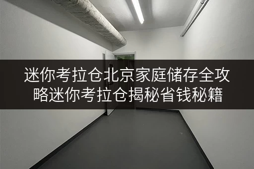 迷你考拉仓北京家庭储存全攻略迷你考拉仓揭秘省钱秘籍,让空间与预算双赢! 迷你考拉仓北京家庭储存全攻略迷你考拉仓揭秘省钱秘籍,让空间与预算双赢!