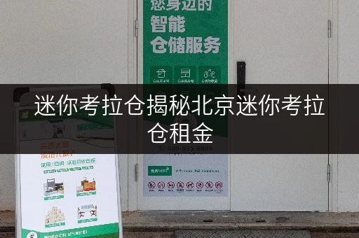 迷你考拉仓揭秘北京迷你考拉仓租金,教你如何省心又省钱! 迷你考拉仓揭秘北京迷你考拉仓租金,教你如何省心又省钱!