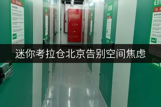 迷你考拉仓北京告别空间焦虑,迷你考拉仓存储方案,价格透明,省心无忧! 迷你考拉仓北京告别空间焦虑,迷你考拉仓存储方案,价格透明,省心无忧!