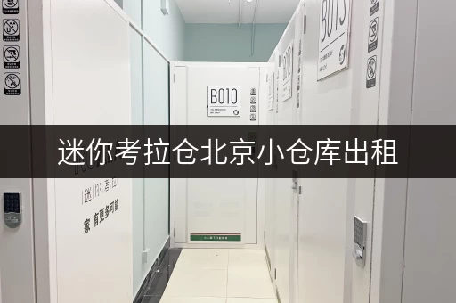 迷你考拉仓北京小仓库出租，随存随取，轻松解决您的存储难题