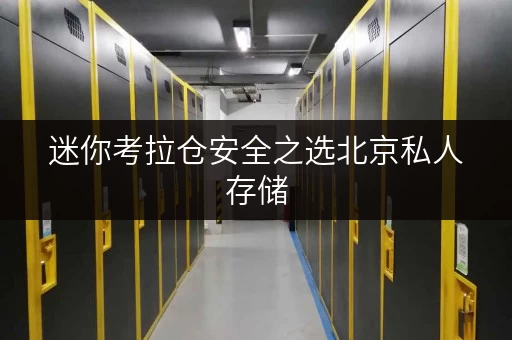 迷你考拉仓安全之选北京私人存储,迷你考拉仓守护您的每一件宝贝 迷你考拉仓安全之选北京私人存储,迷你考拉仓守护您的每一件宝贝