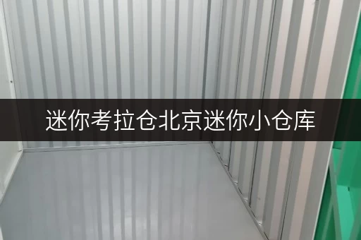 迷你考拉仓北京迷你小仓库,打造您的私人储物空间全攻略 迷你考拉仓北京迷你小仓库,打造您的私人储物空间全攻略