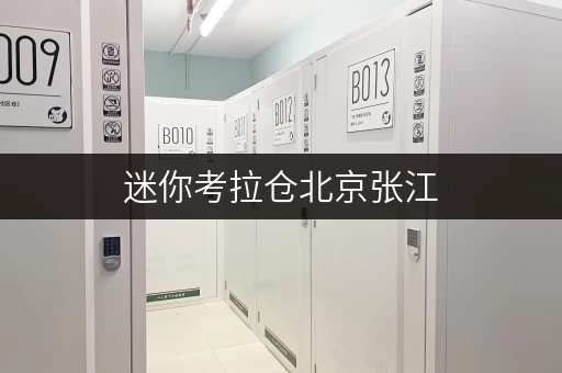 迷你考拉仓北京张江,装修搬家,临时存储新选择——迷你考拉仓,您的空间延伸专家 迷你考拉仓北京张江,装修搬家,临时存储新选择——迷你考拉仓,您的空间延伸专家