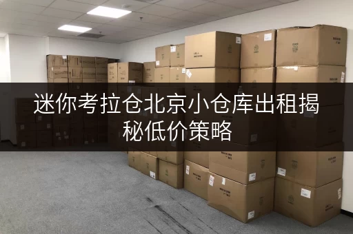 迷你考拉仓北京小仓库出租揭秘低价策略,储物无忧更省钱! 迷你考拉仓北京小仓库出租揭秘低价策略,储物无忧更省钱!