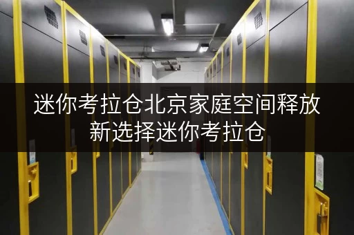 迷你考拉仓北京家庭空间释放新选择迷你考拉仓,品质生活从此不设限 迷你考拉仓北京家庭空间释放新选择迷你考拉仓,品质生活从此不设限