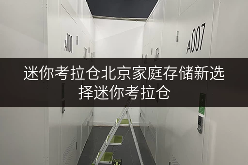 迷你考拉仓北京家庭存储新选择迷你考拉仓,安全与温湿监控双重保障 迷你考拉仓北京家庭存储新选择迷你考拉仓,安全与温湿监控双重保障