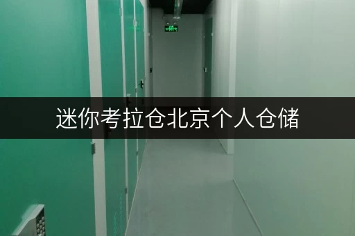 迷你考拉仓北京个人仓储,迷你考拉仓守护您的“第二空间” 迷你考拉仓北京个人仓储,迷你考拉仓守护您的“第二空间”