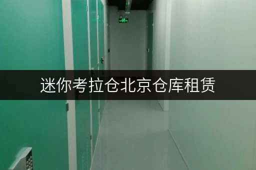 迷你考拉仓北京仓库租赁,每平米价格全攻略存取便利,全时段服务,轻松解决空间难题 迷你考拉仓北京仓库租赁,每平米价格全攻略存取便利,全时段服务,轻松解决空间难题