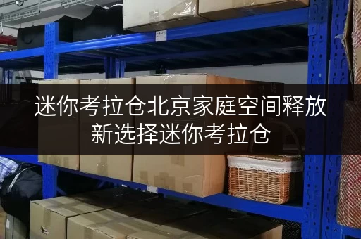 迷你考拉仓北京家庭空间释放新选择迷你考拉仓,一年存储费用全解析 迷你考拉仓北京家庭空间释放新选择迷你考拉仓,一年存储费用全解析