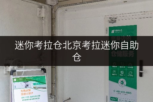 迷你考拉仓北京考拉迷你自助仓,您的私人安全小卫士,温湿监控守护每一件物品 迷你考拉仓北京考拉迷你自助仓,您的私人安全小卫士,温湿监控守护每一件物品