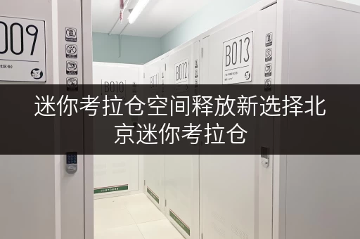 迷你考拉仓空间释放新选择北京迷你考拉仓，为家庭储物提供品质升级方案