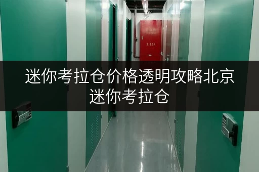 迷你考拉仓价格透明攻略北京迷你考拉仓,释放空间,提升生活品质的秘密武器 迷你考拉仓价格透明攻略北京迷你考拉仓,释放空间,提升生活品质的秘密武器
