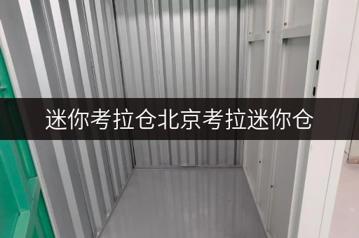 迷你考拉仓北京考拉迷你仓,办公空间释放专家 迷你考拉仓北京考拉迷你仓,办公空间释放专家