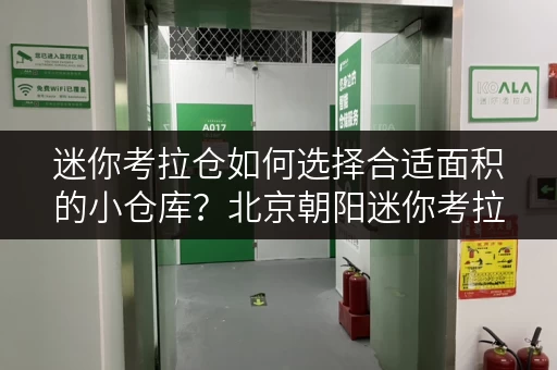 迷你考拉仓如何选择合适面积的小仓库？北京朝阳迷你考拉仓实用案例解析