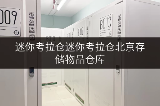 迷你考拉仓迷你考拉仓北京存储物品仓库,存取便捷,服务全时段 迷你考拉仓迷你考拉仓北京存储物品仓库,存取便捷,服务全时段