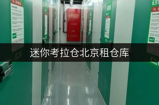 迷你考拉仓北京租仓库,便捷之选——迷你考拉仓,您的“第三空间” 迷你考拉仓北京租仓库,便捷之选——迷你考拉仓,您的“第三空间”