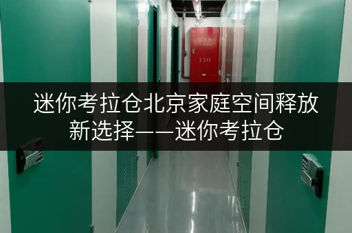 迷你考拉仓北京家庭空间释放新选择——迷你考拉仓,品质生活好帮手 迷你考拉仓北京家庭空间释放新选择——迷你考拉仓,品质生活好帮手