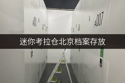 迷你考拉仓北京档案存放,迷你考拉仓——全时段服务,便捷无忧 迷你考拉仓北京档案存放,迷你考拉仓——全时段服务,便捷无忧