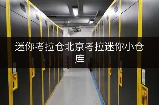 迷你考拉仓北京考拉迷你小仓库,释放办公空间新选择 迷你考拉仓北京考拉迷你小仓库,释放办公空间新选择
