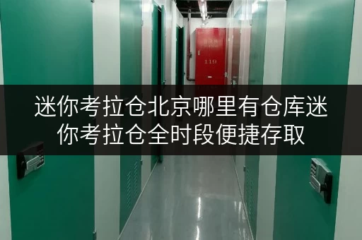 迷你考拉仓北京哪里有仓库迷你考拉仓全时段便捷存取,释放空间新选择 迷你考拉仓北京哪里有仓库迷你考拉仓全时段便捷存取,释放空间新选择