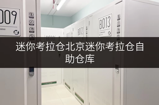 迷你考拉仓北京迷你考拉仓自助仓库,随存随取,轻松解决空间难题 迷你考拉仓北京迷你考拉仓自助仓库,随存随取,轻松解决空间难题