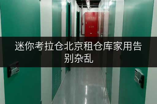 迷你考拉仓北京租仓库家用告别杂乱,打造整洁家居新空间 迷你考拉仓北京租仓库家用告别杂乱,打造整洁家居新空间