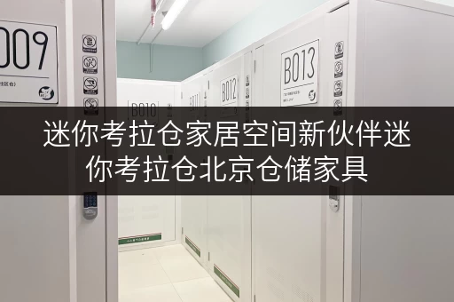 迷你考拉仓家居空间新伙伴迷你考拉仓北京仓储家具，随存随取，轻松释放空间