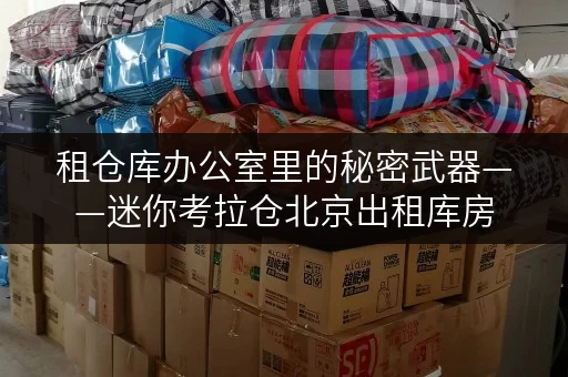 租仓库办公室里的秘密武器——迷你考拉仓北京出租库房，办公用品存放新选择