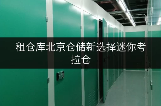 租仓库北京仓储新选择迷你考拉仓,让设备工具随存随取更便捷 租仓库北京仓储新选择迷你考拉仓,让设备工具随存随取更便捷