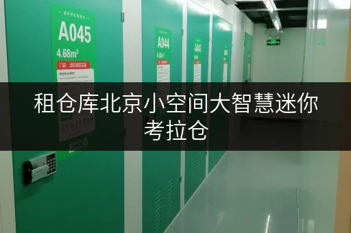 租仓库北京小空间大智慧迷你考拉仓,面积选择全攻略,打造您的私人储物专家 租仓库北京小空间大智慧迷你考拉仓,面积选择全攻略,打造您的私人储物专家