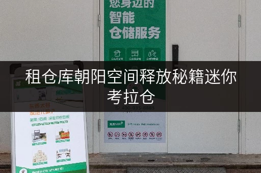 租仓库朝阳空间释放秘籍迷你考拉仓,存取无忧全时段服务 租仓库朝阳空间释放秘籍迷你考拉仓,存取无忧全时段服务