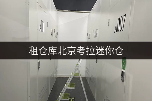 租仓库北京考拉迷你仓,揭秘价格透明与省钱秘籍 租仓库北京考拉迷你仓,揭秘价格透明与省钱秘籍