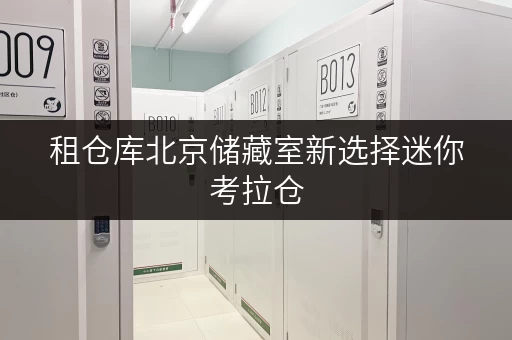 租仓库北京储藏室新选择迷你考拉仓,安全与温湿监控双重保障 租仓库北京储藏室新选择迷你考拉仓,安全与温湿监控双重保障
