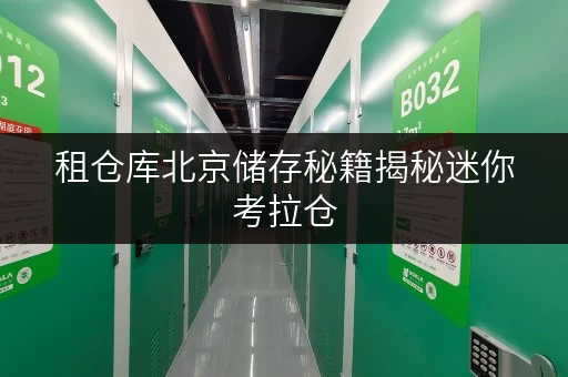 租仓库北京储存秘籍揭秘迷你考拉仓,透明价格助您省钱无忧 租仓库北京储存秘籍揭秘迷你考拉仓,透明价格助您省钱无忧