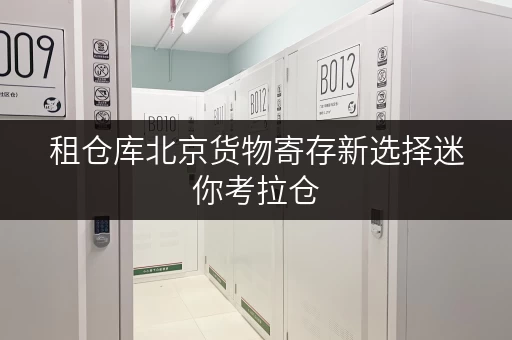 租仓库北京货物寄存新选择迷你考拉仓,随存随取更便捷! 租仓库北京货物寄存新选择迷你考拉仓,随存随取更便捷!