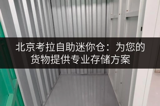 北京考拉自助迷你仓:为您的货物提供专业存储方案 北京考拉自助迷你仓:为您的货物提供专业存储方案