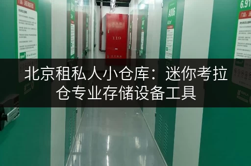 北京租私人小仓库:迷你考拉仓专业存储设备工具 北京租私人小仓库:迷你考拉仓专业存储设备工具