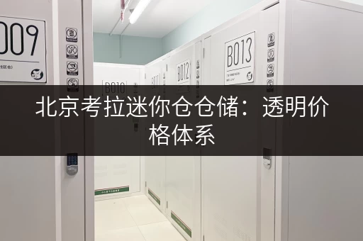 北京考拉迷你仓仓储:透明价格体系,超高性价比之选 北京考拉迷你仓仓储:透明价格体系,超高性价比之选