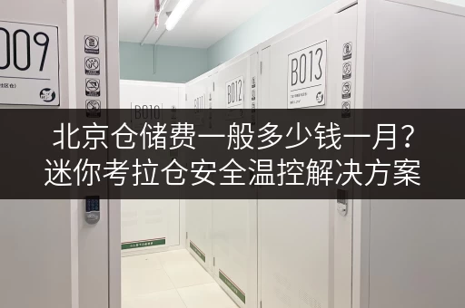北京仓储费一般多少钱一月?迷你考拉仓安全温控解决方案 北京仓储费一般多少钱一月?迷你考拉仓安全温控解决方案