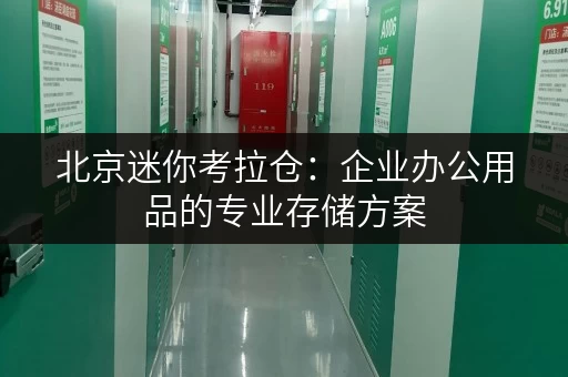 北京迷你考拉仓:企业办公用品的专业存储方案 北京迷你考拉仓:企业办公用品的专业存储方案